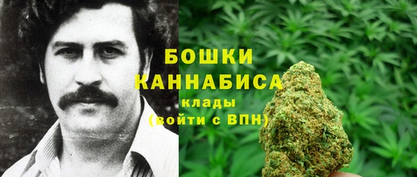 PSILOCYBIN Баксан