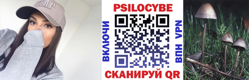 дарнет шоп  Ульяновск  Галлюциногенные грибы Psilocybine cubensis 
